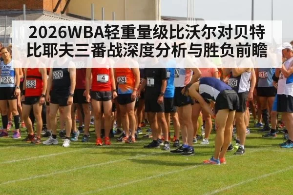 2026WBA轻重量级比沃尔对贝特比耶夫三番战深度分析与胜负前瞻